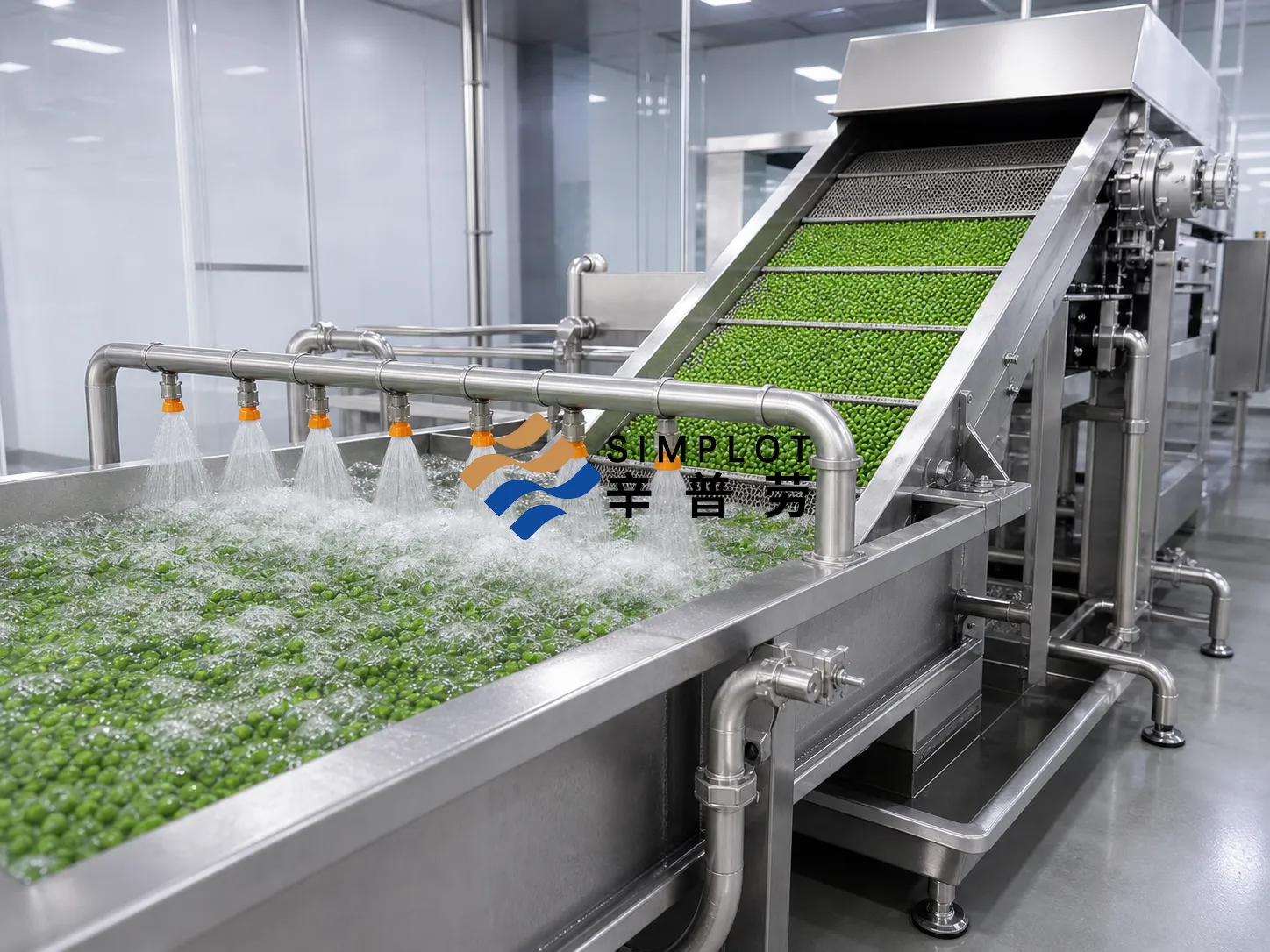 Frozen Pea Processing Line